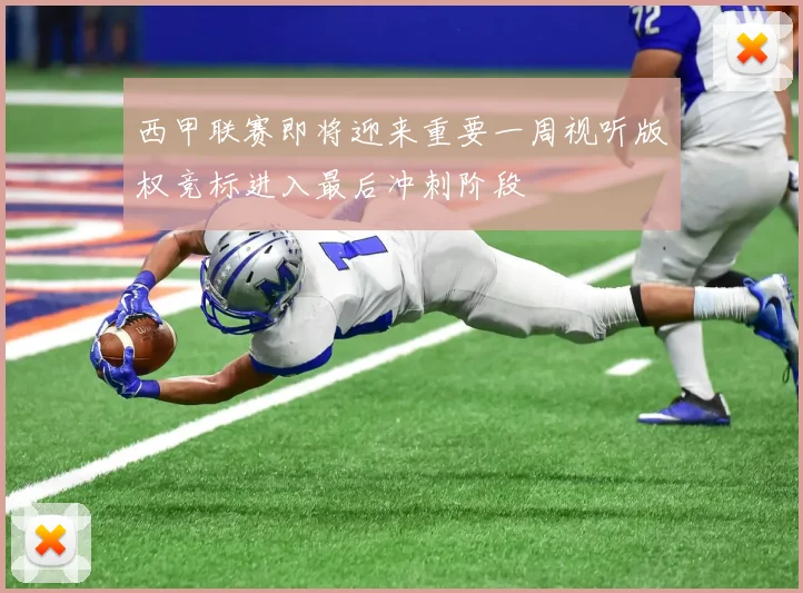 西甲联赛即将迎来重要一周视听版权竞标进入最后冲刺阶段