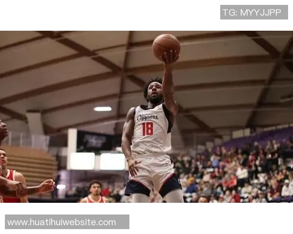 爱德华兹高效得分难救主球队失利全场19投11中砍下31分表现依旧亮眼